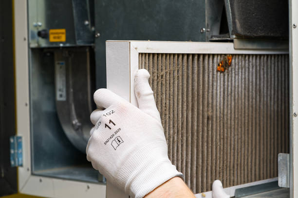 Best Duct Cleaning for Offices  in Pelham, GA