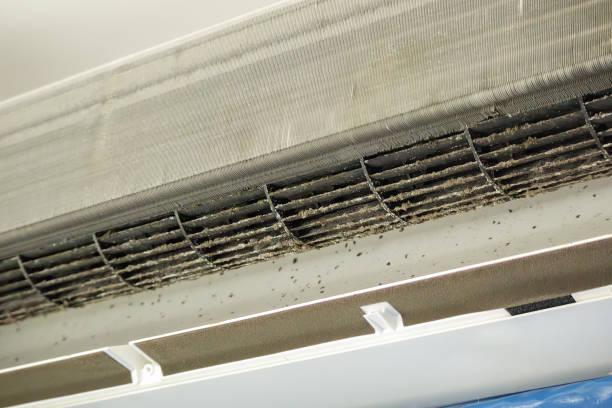 Best Emergency Air Duct Cleaning  in Pelham, GA